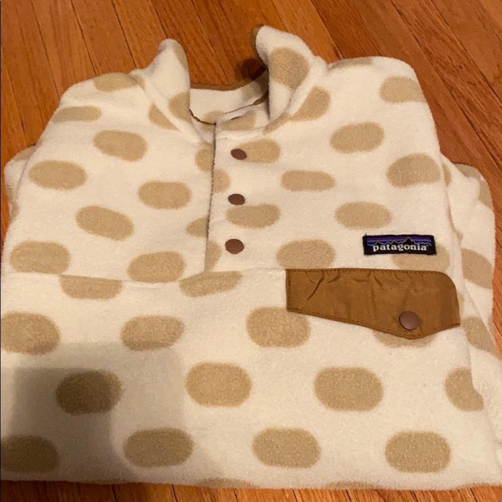 Patagonia Synchilla Fleece
